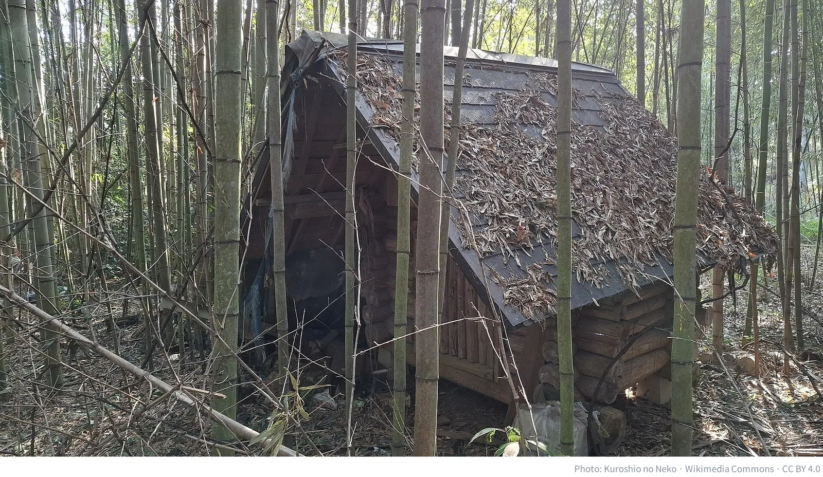 Abandoned house (akiya) in Hikari, Yamaguchi Prefecture, Japan