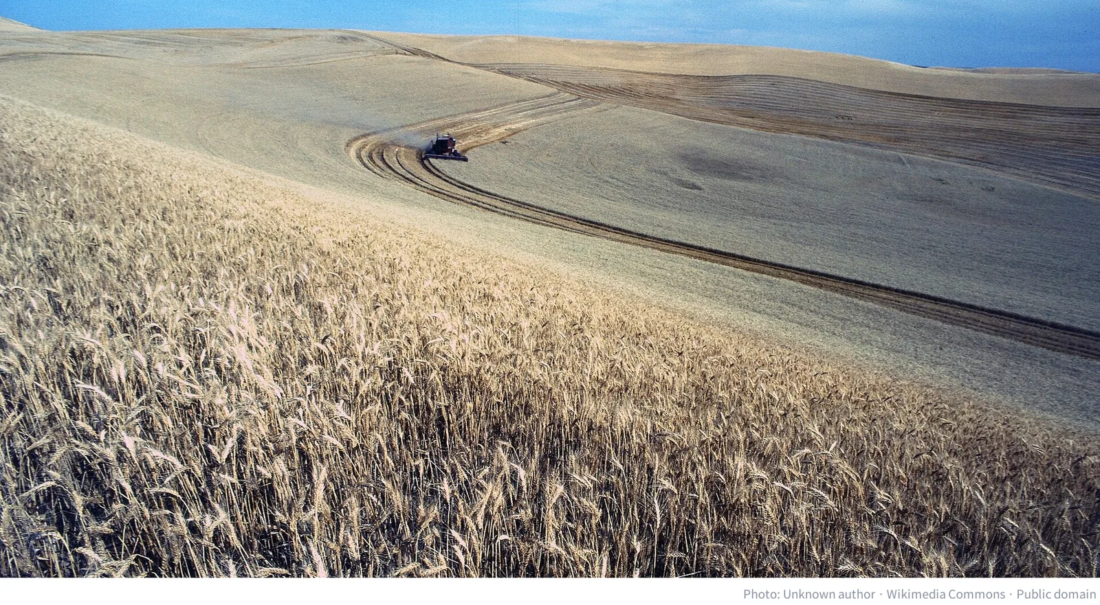 Combines harvesting wheat on the Palouse in Idaho