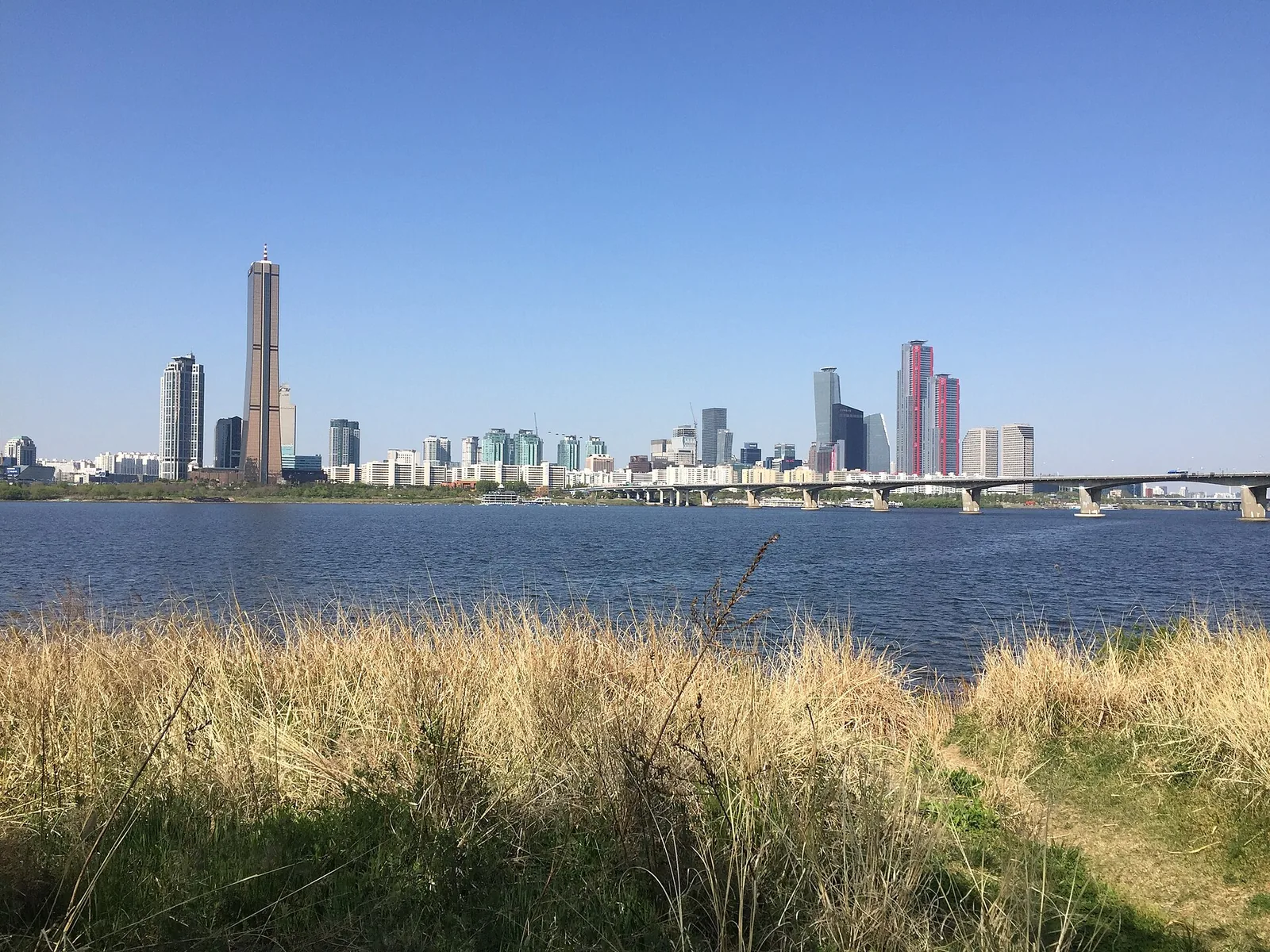 Yeouido skyline across the Han River in spring, with dry reeds on the riverbank in the foreground.