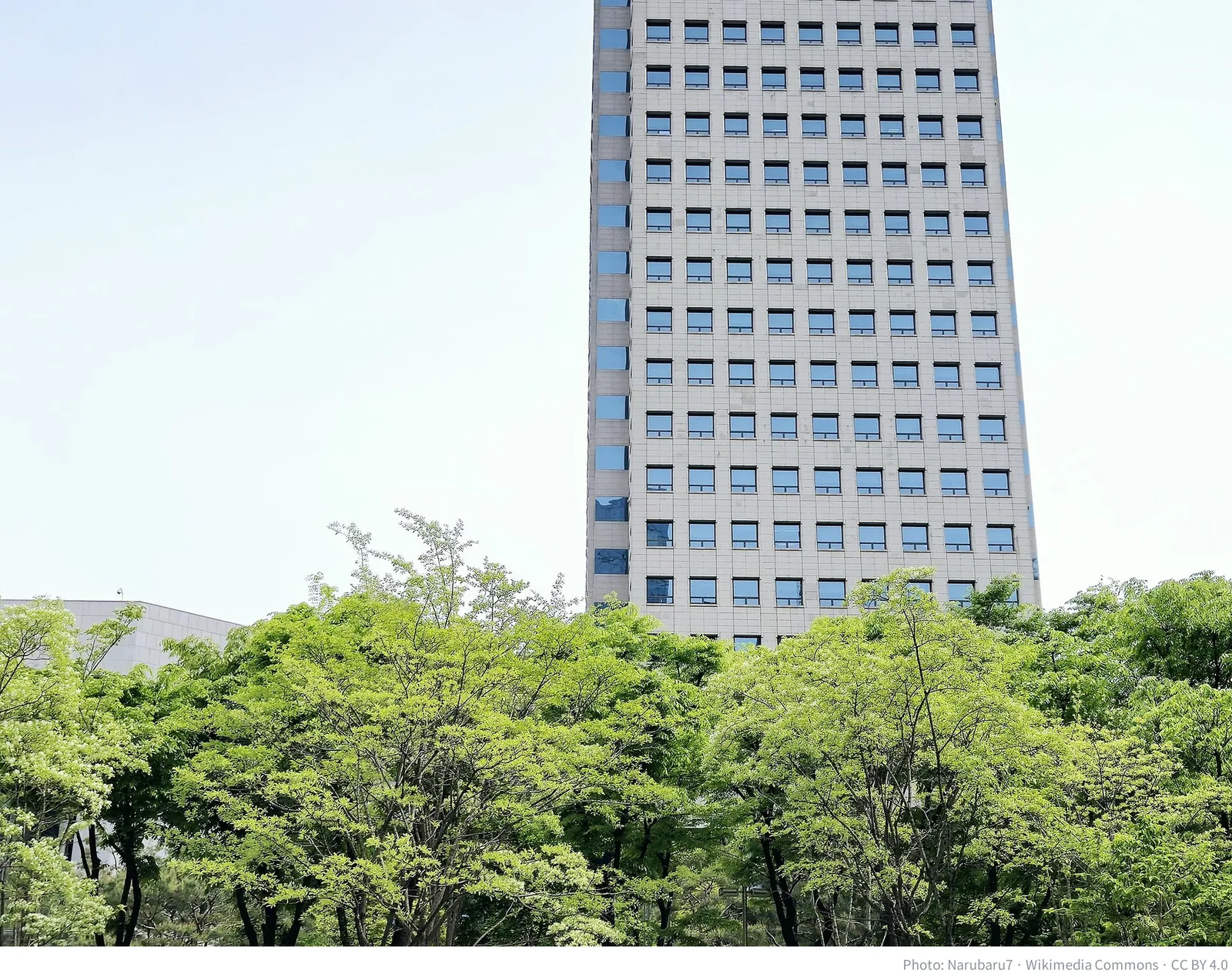 Korea major shareholder capital gains tax