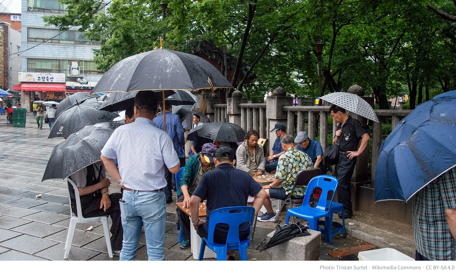 People playing janggi in the rain next to Tapgol Park in Seoul