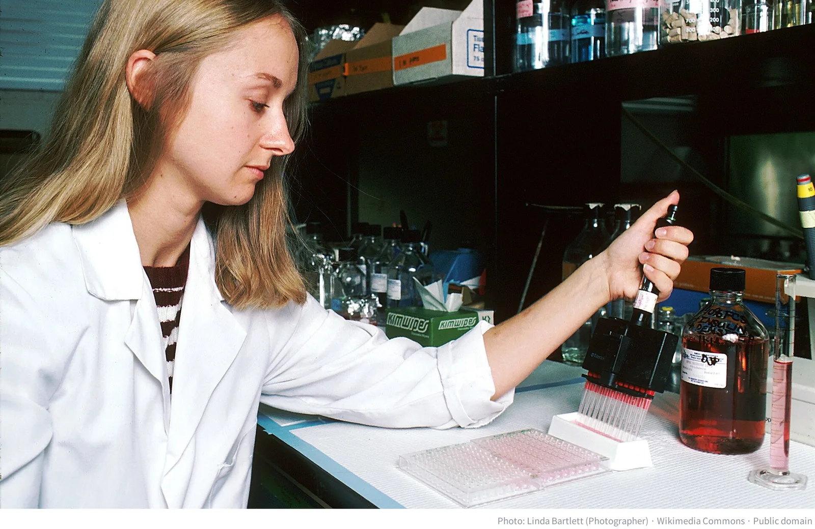 Laboratory technician preparing cultures to produce monoclonal antibodies