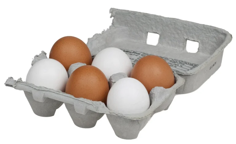 Six brown and white chicken eggs in a gray pulp carton